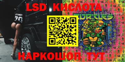 шишки Канаш